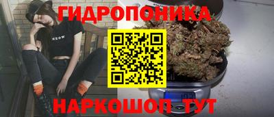 тгк Краснознаменск