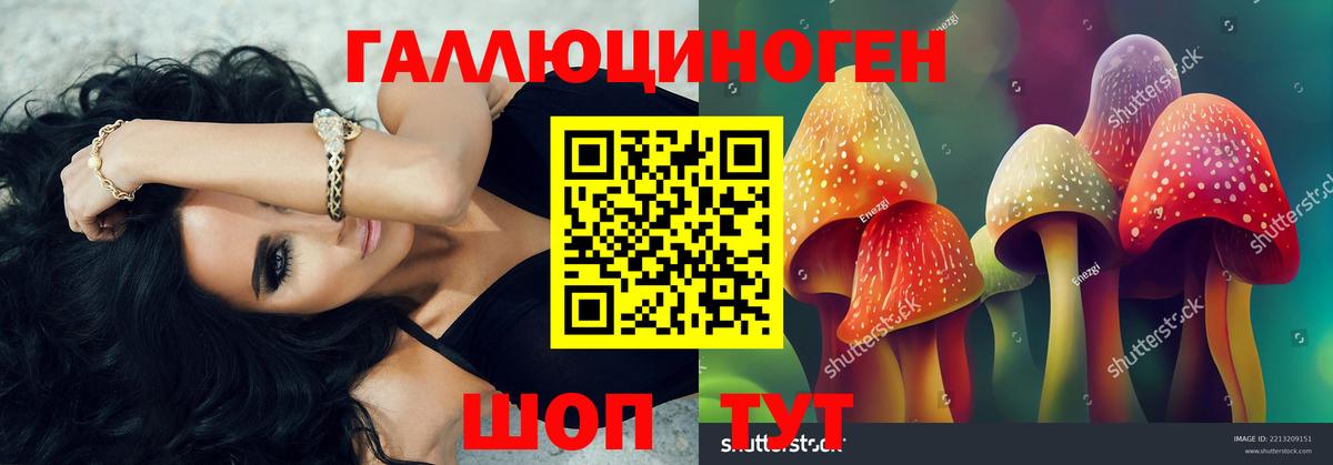 Псилоцибиновые грибы MAGIC MUSHROOMS  Вход с VPN  Ейск 